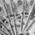 Profile picture of Bleann