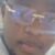 Profile picture of Coach@Beejay