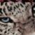 Profile picture of Zara