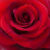 Profile picture of Gift Odudu